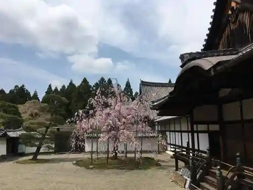 三宝院（三宝院門跡）のその他建物