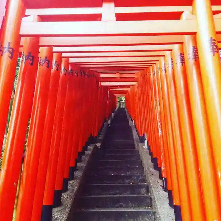 日枝神社の鳥居