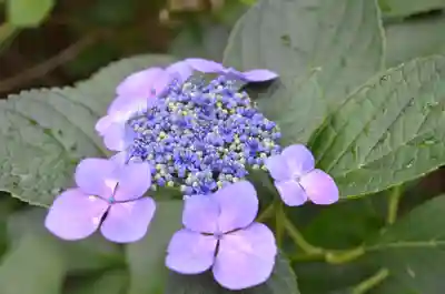 鵜森神社(三重県)
