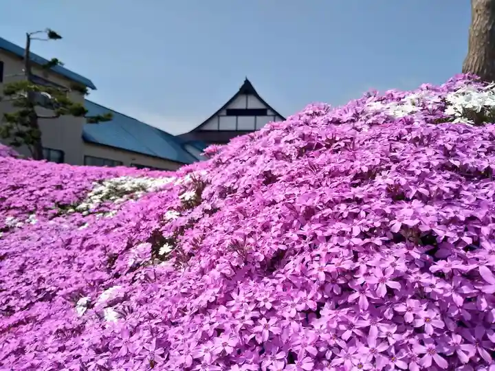 雨竜 専福寺(北海道)
