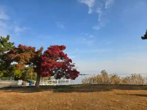 唐崎神社(滋賀県)