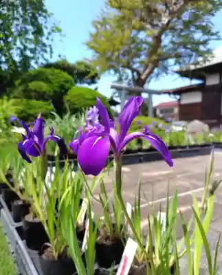 正泉寺(神奈川県)
