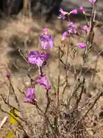 大生郷天満宮の自然