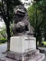 富士山本宮浅間大社の狛犬