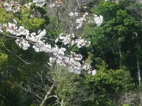 鶴岡八幡宮の自然