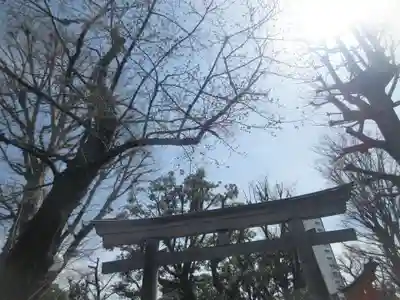 旗岡八幡神社(東京都)