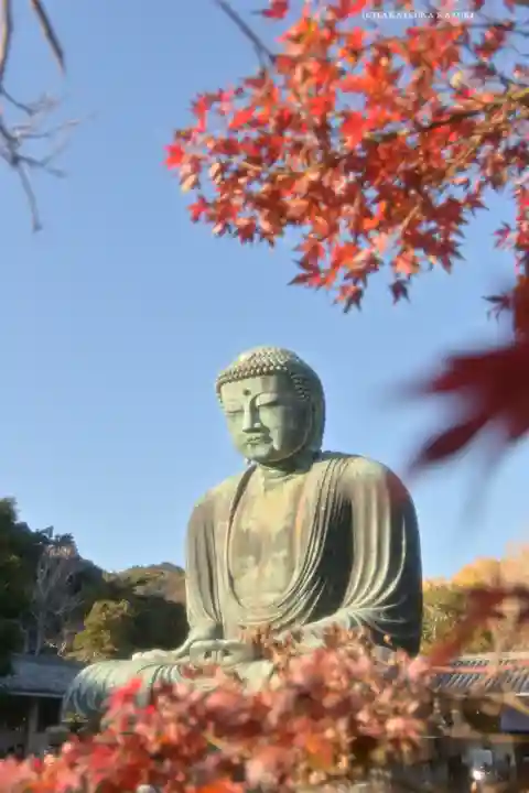 高徳院(神奈川県)
