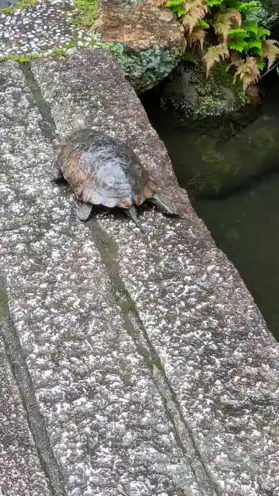宝蔵寺(京都府)