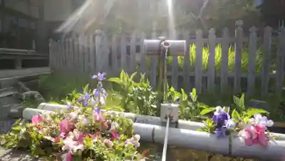 二尊院(京都府)