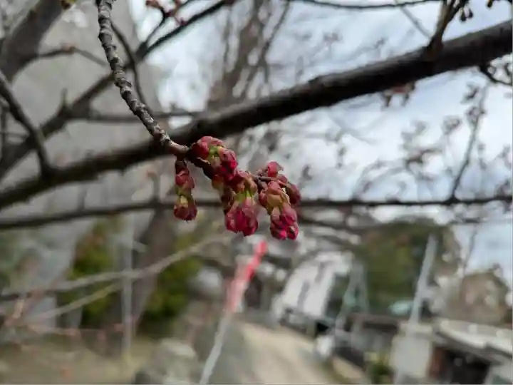 阿邪訶根神社(福島県)