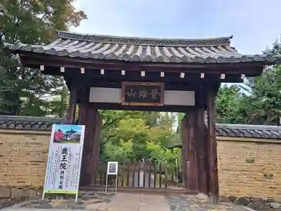 鹿王院(京都府)