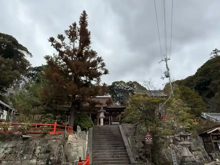 長弓寺の{uncategorized: "未分類", other: "その他", undefined: "問題あり", building: "その他建物", grave: "お墓", sacred_gate: "鳥居", guardian: "狛犬", statue: "像", buddha: "仏像", history: "歴史", nature: "自然", garden: "庭園", animal: "動物", pagoda: "塔", temizu: "手水舎", mountain_gate: "山門・神門", sanctuary: "本殿・本堂", subordinate: "末社・摂社", art: "芸術", scenery: "景色", jizo: "地蔵", ema: "絵馬", goshuin: "御朱印", omikuji: "おみくじ", items: "授与品その他", amulet: "お守り", goshuincho: "御朱印帳", eats: "食事", festival: "お祭り", votive_dance: "神楽", shichigosan: "七五三参", wedding: "結婚式", experience: "体験その他", initially: "初詣", around: "周辺", anti_infection: "感染症対策"}
