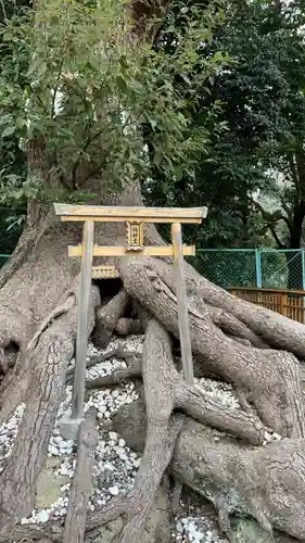 和泉國一之宮　大鳥大社(大阪府)