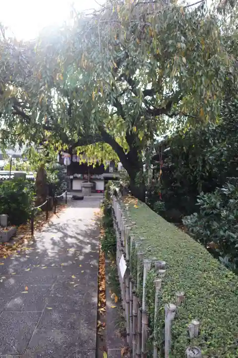 地蔵院(椿寺)(京都府)