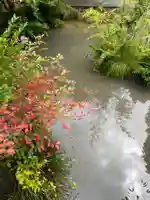 国上寺(新潟県)