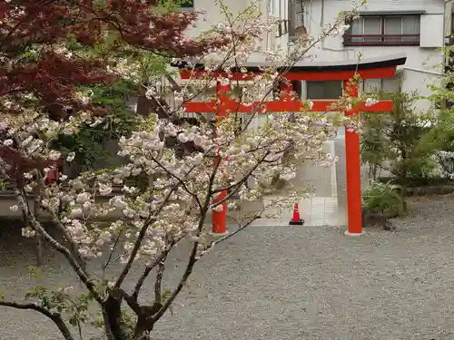 金毘羅神社(山梨県)