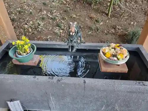 下野 星宮神社(栃木県)