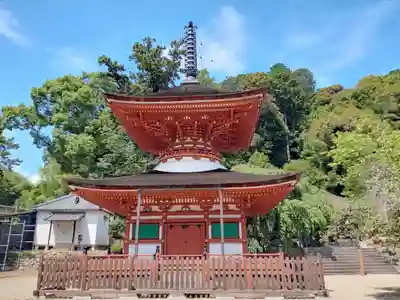 金剛寺(大阪府)