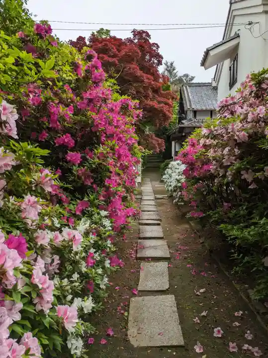 龍泉寺(大阪府)