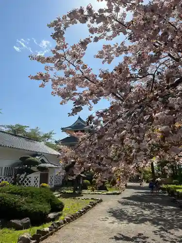 糠部神社の建物その他