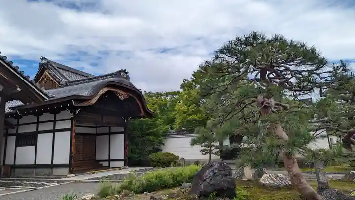 妙覺寺(妙覚寺)(京都府)