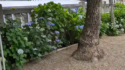 三社神社(大阪府)