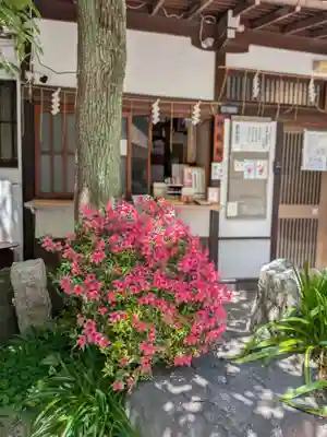 秋葉神社(東京都)