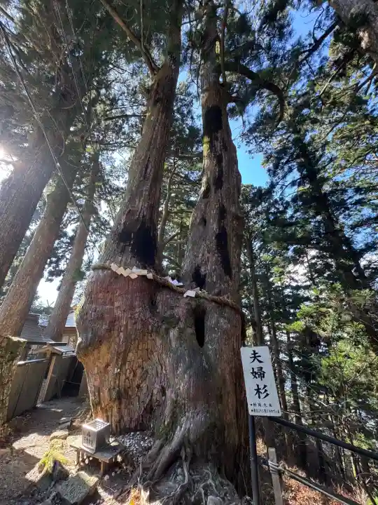 玉置神社(奈良県)
