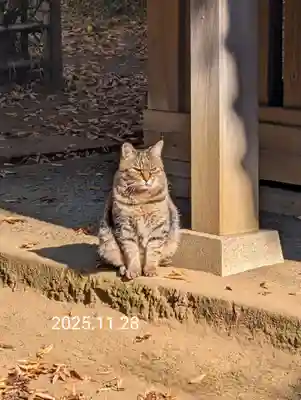 白幡八幡神社(神奈川県)