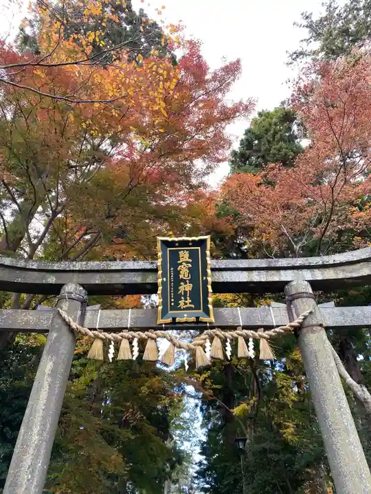 志波彦神社・鹽竈神社の鳥居