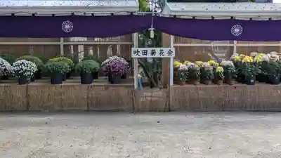 泉殿宮(大阪府)