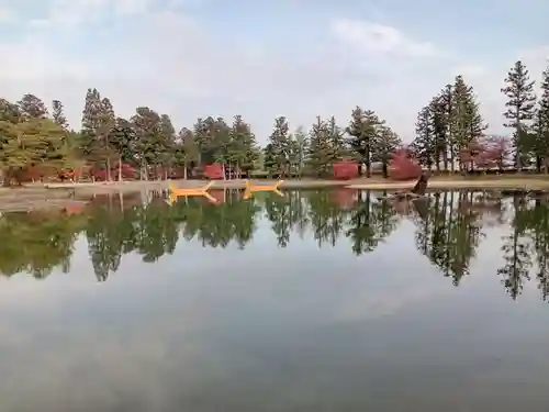 毛越寺(岩手県)