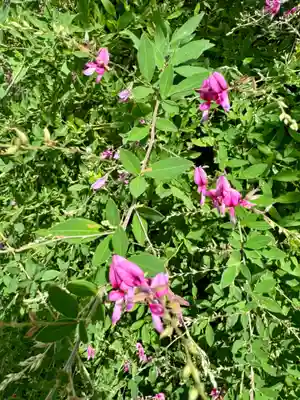 勝念寺（かましきさん）(京都府)