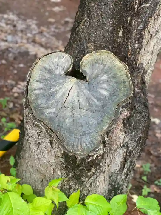 大谷地神社(北海道)
