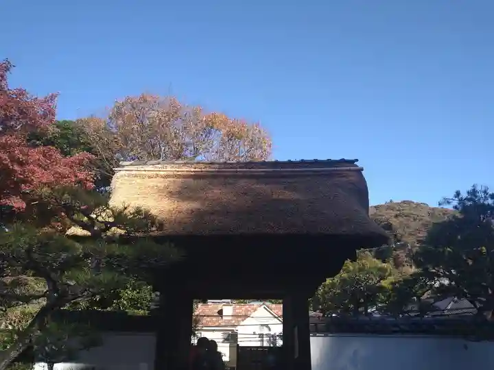 長壽寺(長寿寺)(神奈川県)