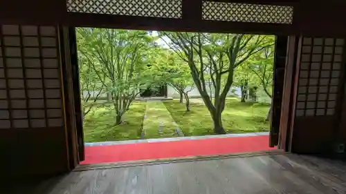 妙覺寺（妙覚寺）(京都府)