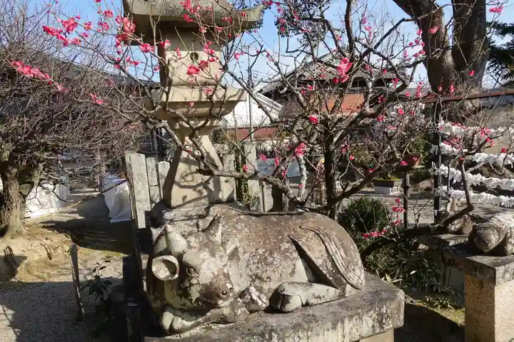 菅原天満宮(菅原神社)の狛犬