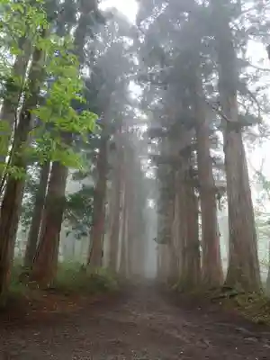 戸隠神社奥社(長野県)