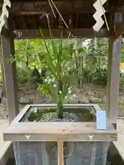 赤坂氷川神社(東京都)