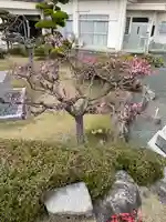 宗像観音寺(福岡県)