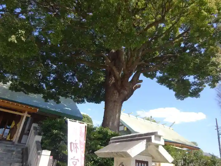 伊勢原大神宮の自然