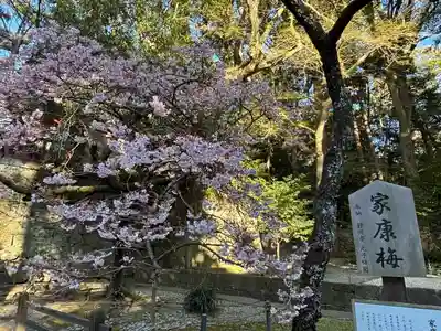 久能山東照宮(静岡県)