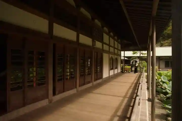 光明寺の本殿・本堂