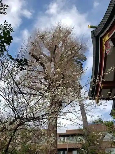 勝利八幡神社(東京都)