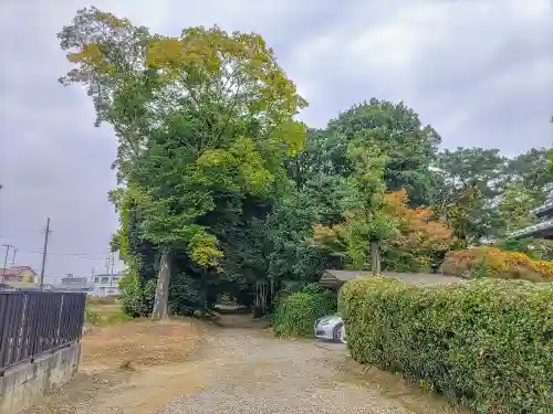 淺間社（赤池町）の建物その他