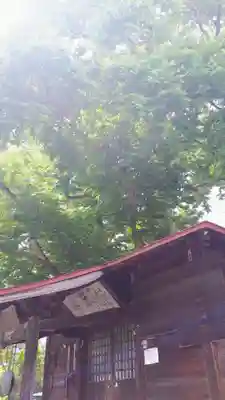 延寿寺観音堂の本殿・本堂