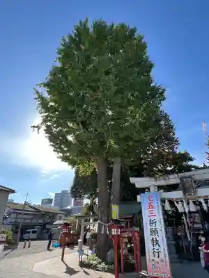 川越八幡宮(埼玉県)
