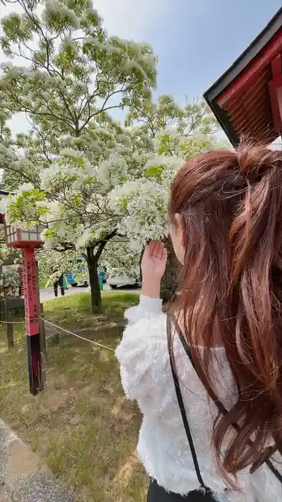 岡湊神社(福岡県)