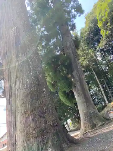 白鬚神社(岐阜県)