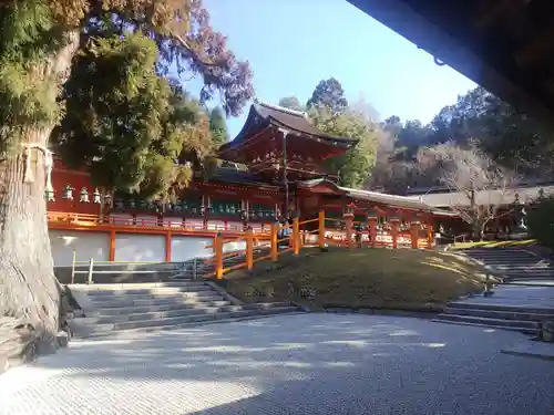 春日大社(奈良県)